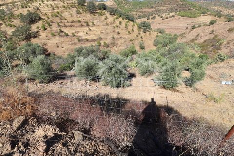 Terra a Odeleite, Faro, Odeleite - € 20.000 | Ref: 239 - foto 8