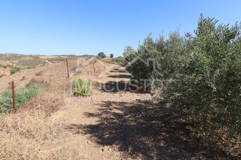 Terra a Odeleite, Faro, Odeleite - € 20.000 | Ref: 239 - foto 11