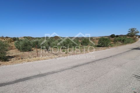 Terra a Odeleite, Faro, Odeleite - € 20.000 | Ref: 239 - foto 12