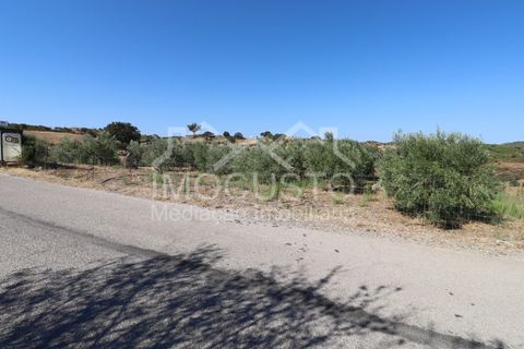 Terra a Odeleite, Faro, Odeleite - € 20.000 | Ref: 239 - foto 15