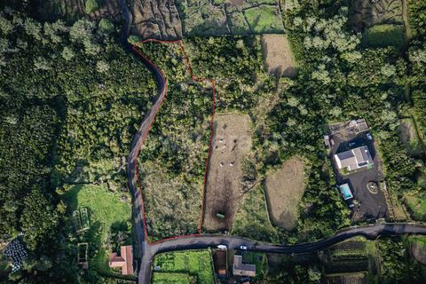 Helårsgrund i Sao Roque do Pico, Pico, Sao Roque do Pico - € 69.000 | Ref: 374240248 - foto 1