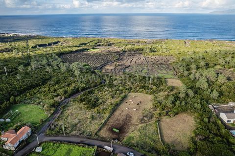 Helårsgrund i Sao Roque do Pico, Pico, Sao Roque do Pico - € 69.000 | Ref: 374240248 - foto 2
