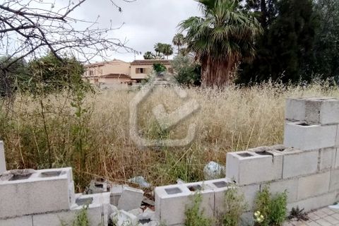Terra a Denia, Alicante, Denia - € 210.000 | Ref: 5-30-14991 - foto 3
