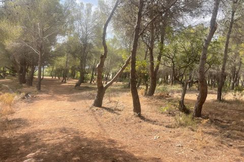 Terra a Altea, Alicante, Altea - € 265.000 | Ref: 4478 - foto 4
