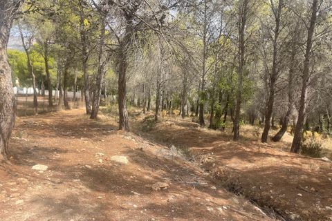 Terra a Altea, Alicante, Altea - € 265.000 | Ref: 4478 - foto 5