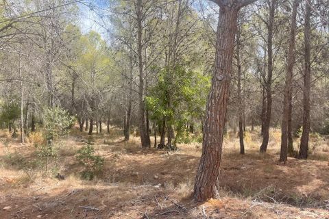 Terra a Altea, Alicante, Altea - € 265.000 | Ref: 4478 - foto 7