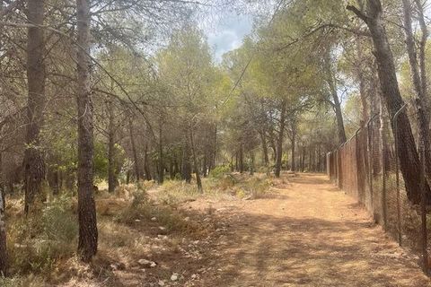 Terra a Altea, Alicante, Altea - € 265.000 | Ref: 4478 - foto 8
