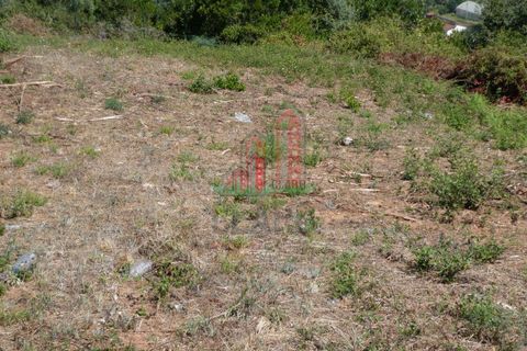 Helårsgrund i Coimbra, Coimbra, Coimbra - € 75.000 | Ref: CC3903 - foto 4