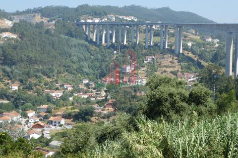 Helårsgrund i Coimbra, Coimbra, Coimbra - € 75.000 | Ref: CC3903 - foto 5