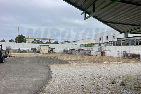 Erhvervsejendom i Santo Andre, Setubal, Santo Andre - € 500.000 | Ref: 2024039 - foto 34