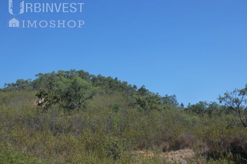 Terra a Marmelete, Faro, Marmelete - € 60.000 | Ref: AR00416 - PT - foto 2