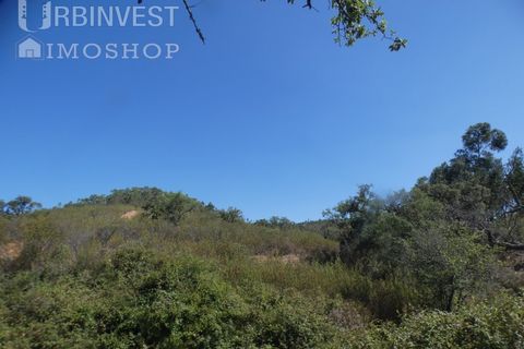 Terra a Marmelete, Faro, Marmelete - € 60.000 | Ref: AR00416 - PT - foto 5