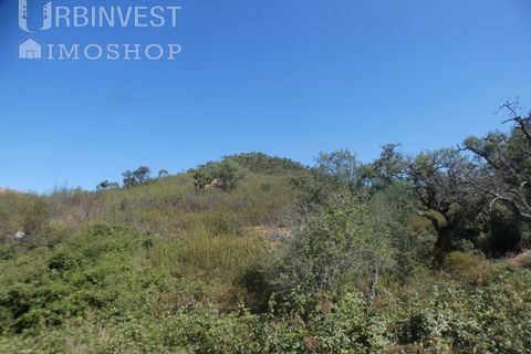 Terra a Marmelete, Faro, Marmelete - € 60.000 | Ref: AR00416 - PT - foto 6