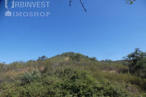 Terra a Marmelete, Faro, Marmelete - € 60.000 | Ref: AR00416 - PT - foto 7