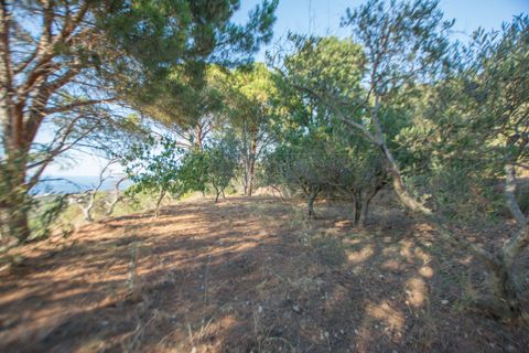 Byhus i Messina, Messina, Messina - € 170.000 | Ref: 47-24 - foto 24