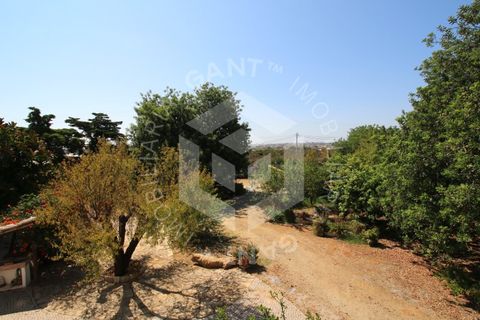Villa i Tavira, Faro, Tavira - € 1.180.000 | Ref: GT-4391-M - foto 40