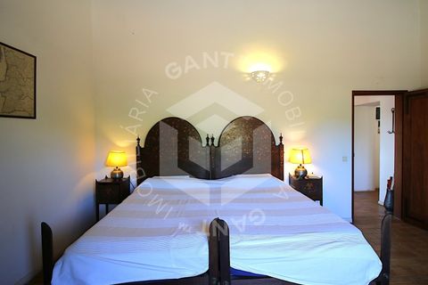 Villa i Tavira, Faro, Tavira - € 1.180.000 | Ref: GT-4391-M - foto 50
