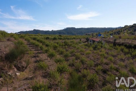 Helårsgrund i Miranda do Corvo, Coimbra, Miranda do Corvo - € 120.000 | Ref: 125855 - foto 1
