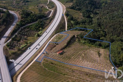 Helårsgrund i Miranda do Corvo, Coimbra, Miranda do Corvo - € 120.000 | Ref: 125855 - foto 2