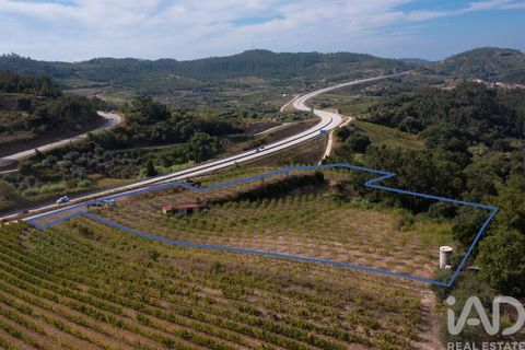 Helårsgrund i Miranda do Corvo, Coimbra, Miranda do Corvo - € 120.000 | Ref: 125855 - foto 3