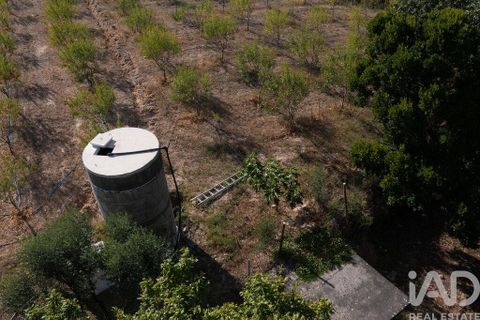 Helårsgrund i Miranda do Corvo, Coimbra, Miranda do Corvo - € 120.000 | Ref: 125855 - foto 4