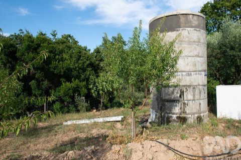 Helårsgrund i Miranda do Corvo, Coimbra, Miranda do Corvo - € 120.000 | Ref: 125855 - foto 5
