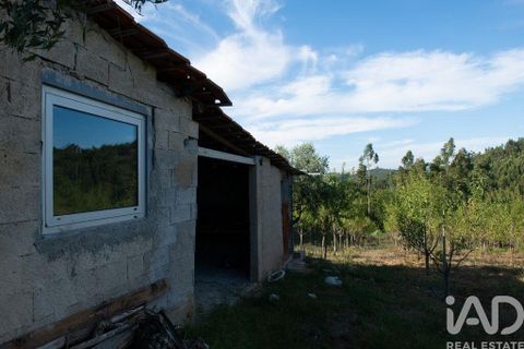 Helårsgrund i Miranda do Corvo, Coimbra, Miranda do Corvo - € 120.000 | Ref: 125855 - foto 6