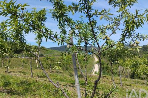 Helårsgrund i Miranda do Corvo, Coimbra, Miranda do Corvo - € 120.000 | Ref: 125855 - foto 8