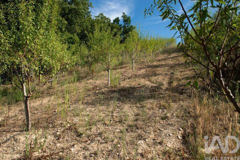 Helårsgrund i Miranda do Corvo, Coimbra, Miranda do Corvo - € 120.000 | Ref: 125855 - foto 11