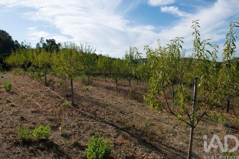 Helårsgrund i Miranda do Corvo, Coimbra, Miranda do Corvo - € 120.000 | Ref: 125855 - foto 13