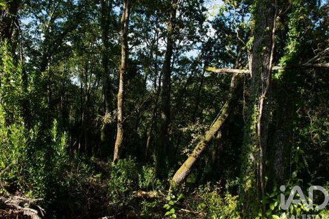 Helårsgrund i Miranda do Corvo, Coimbra, Miranda do Corvo - € 120.000 | Ref: 125855 - foto 15