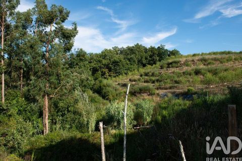Helårsgrund i Miranda do Corvo, Coimbra, Miranda do Corvo - € 120.000 | Ref: 125855 - foto 19