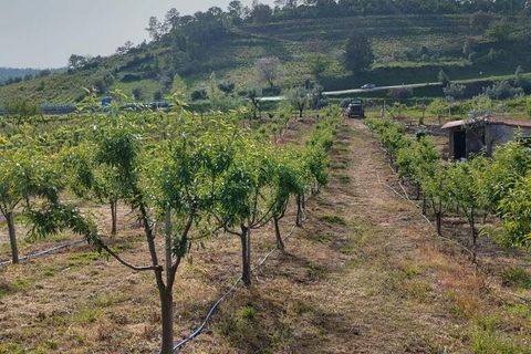 Helårsgrund i Miranda do Corvo, Coimbra, Miranda do Corvo - € 120.000 | Ref: 125855 - foto 22