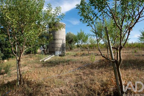 Helårsgrund i Miranda do Corvo, Coimbra, Miranda do Corvo - € 120.000 | Ref: 125855 - foto 25