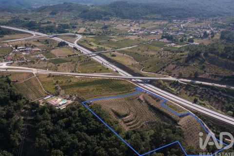 Helårsgrund i Miranda do Corvo, Coimbra, Miranda do Corvo - € 120.000 | Ref: 125855 - foto 28
