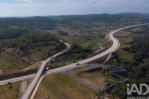 Helårsgrund i Miranda do Corvo, Coimbra, Miranda do Corvo - € 120.000 | Ref: 125855 - foto 29