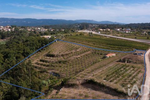 Helårsgrund i Miranda do Corvo, Coimbra, Miranda do Corvo - € 120.000 | Ref: 125855 - foto 30