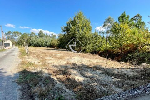 Helårsgrund i Arcos de Valdevez, Viana do Castelo, Arcos de Valdevez - € 55.000 | Ref: AV6099 - foto 6