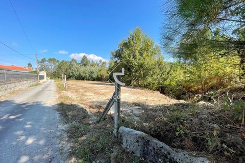 Helårsgrund i Arcos de Valdevez, Viana do Castelo, Arcos de Valdevez - € 55.000 | Ref: AV6099 - foto 10