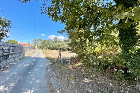 Helårsgrund i Arcos de Valdevez, Viana do Castelo, Arcos de Valdevez - € 55.000 | Ref: AV6099 - foto 13