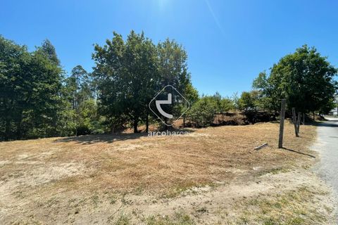 Helårsgrund i Arcos de Valdevez, Viana do Castelo, Arcos de Valdevez - € 55.000 | Ref: AV6099 - foto 17