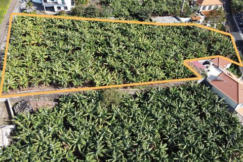 Helårsgrund i Calheta, Madeira, Calheta - € 360.000 | Ref: etcegidio - foto 1