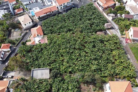 Helårsgrund i Calheta, Madeira, Calheta - € 360.000 | Ref: etcegidio - foto 2