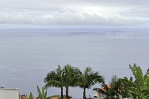 Helårsgrund i Calheta, Madeira, Calheta - € 360.000 | Ref: etcegidio - foto 6