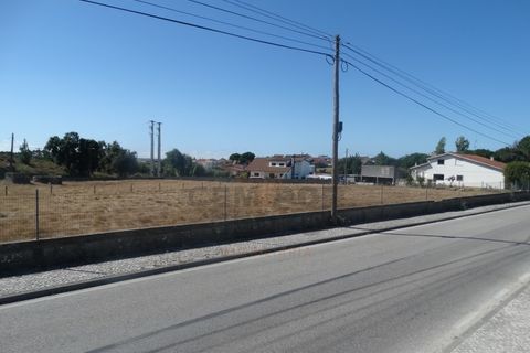 Helårsgrund i Leiria, Leiria, Leiria - € 365.000 | Ref: TER_77 - foto 3