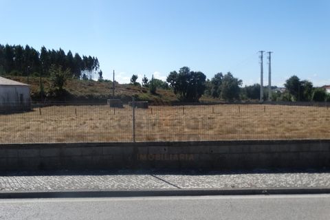 Helårsgrund i Leiria, Leiria, Leiria - € 365.000 | Ref: TER_77 - foto 4