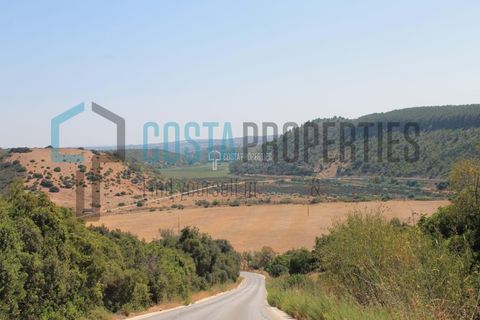 Helårsgrund i Budens, Faro, Budens - € 648.000 | Ref: CP-T2408 - foto 18