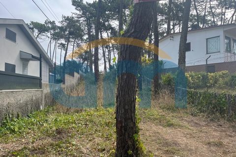 Helårsgrund i Apulia, Braga, Apulia - € 100.000 | Ref: REF AM 1023 - foto 2