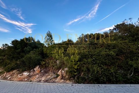 Helårsgrund i Alcabideche, Lisbon, Alcabideche - € 6.000.000 | Ref: GE-MC100414 - foto 3