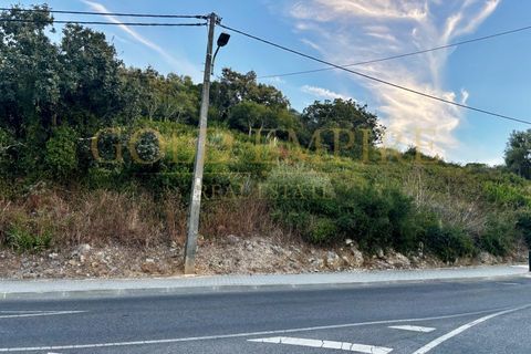 Helårsgrund i Alcabideche, Lisbon, Alcabideche - € 6.000.000 | Ref: GE-MC100414 - foto 6